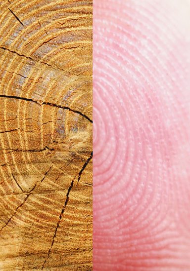 TOUCH Touch the brand, feel the product and understand what your customers want. Creative Quill Studios.