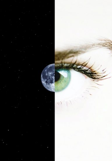 SEE See the brand, see the potential. Creative Quill Studios