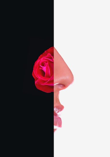 SMELL The scent of success within any successful campaign is know how to adapt creatively to your chosen market. Creative Quill Studios.